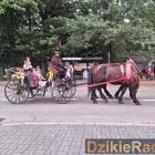 zdjęcie nr 35