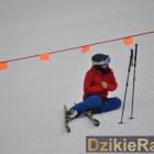 zdjęcie nr 39