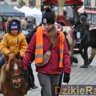 zdjęcie nr 132