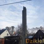 zdjęcie nr 14