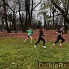 Fotka nr 1 z 21
