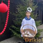 Fotka nr 4 z 44