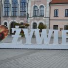 zdjęcie nr 14