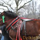 zdjęcie nr 48