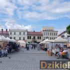 zdjęcie nr 32