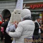 zdjęcie nr 44