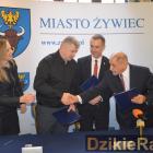 zdjęcie nr 10