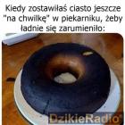 zdjęcie nr 13