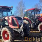 zdjęcie nr 226