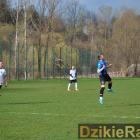zdjęcie nr 13