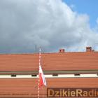 zdjęcie nr 145