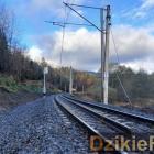 Fot: DzikieRadio®