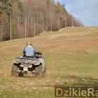 zdjęcie nr 86