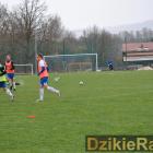 Fotka nr 5 z 233