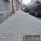 Fotka nr 0 z 6