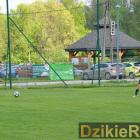 zdjęcie nr 113