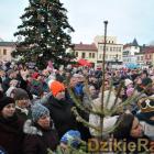 zdjęcie nr 33