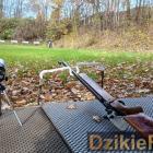 zdjęcie nr 42