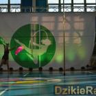 zdjęcie nr 43