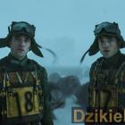 Fotka nr 3 z 5