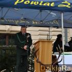 zdjęcie nr 194