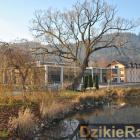 zdjęcie nr 47