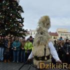 zdjęcie nr 251