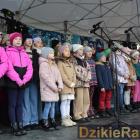 zdjęcie nr 73