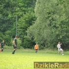 zdjęcie nr 230