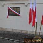 zdjęcie nr 61