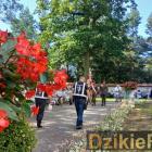 zdjęcie nr 84