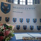 zdjęcie nr 11