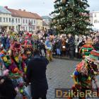 zdjęcie nr 185