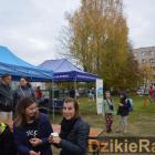 zdjęcie nr 47