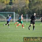 zdjęcie nr 17