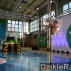 zdjęcie nr 23