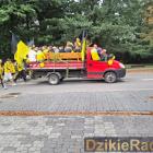 zdjęcie nr 30