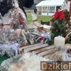 zdjęcie nr 16