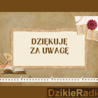 zdjęcie nr 53