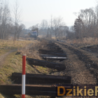Fotka nr 2 z 14