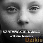 zdjęcie nr 8