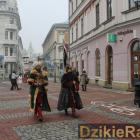 zdjęcie nr 10