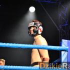 zdjęcie nr 194