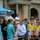 zdjęcie nr 43