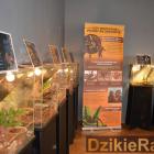 zdjęcie nr 14