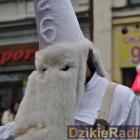 zdjęcie nr 45