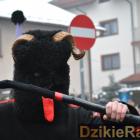zdjęcie nr 339
