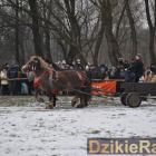 zdjęcie nr 106