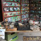 zdjęcie nr 91