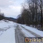 Fotka nr 3 z 9